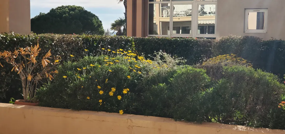 Appartements à Fréjus - Port Fréjus