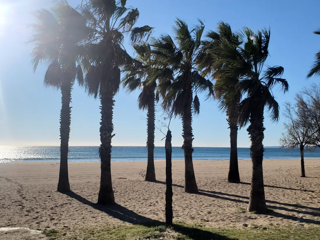 Appartements à Fréjus - Port Fréjus