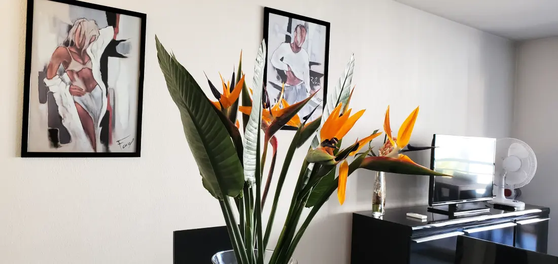 Appartements à Fréjus - Port Fréjus