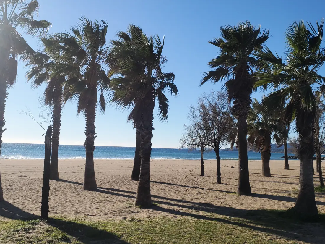 Appartements à Fréjus - Port Fréjus