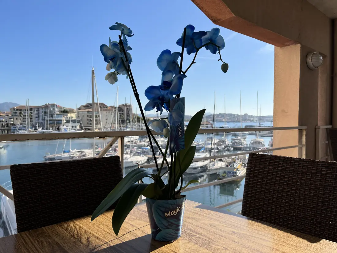 Appartements à Fréjus - Port Fréjus