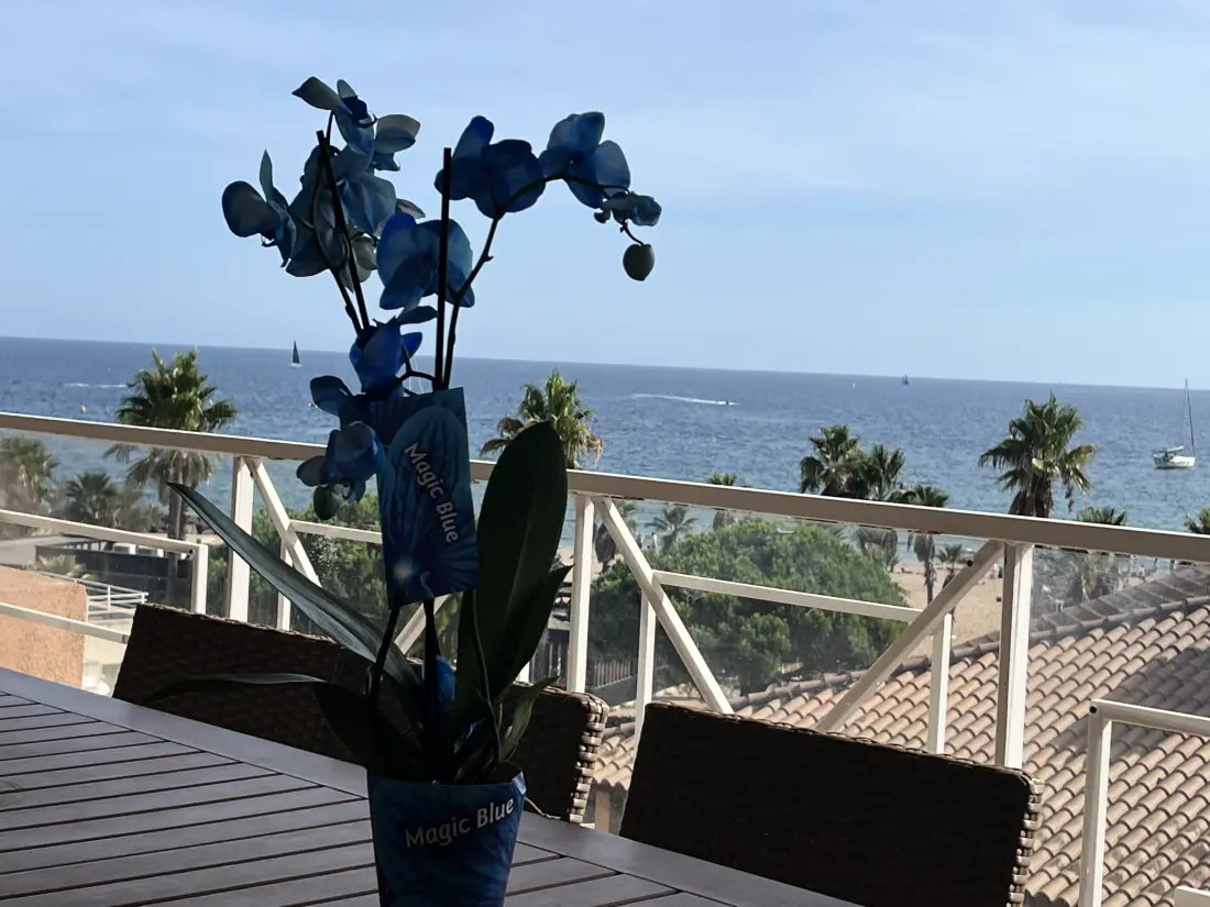 Appartements à Fréjus - Port Fréjus