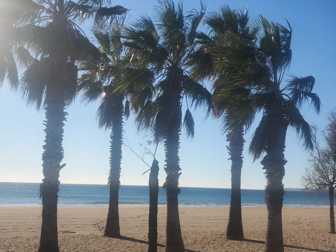 Appartements à Fréjus - Port Fréjus