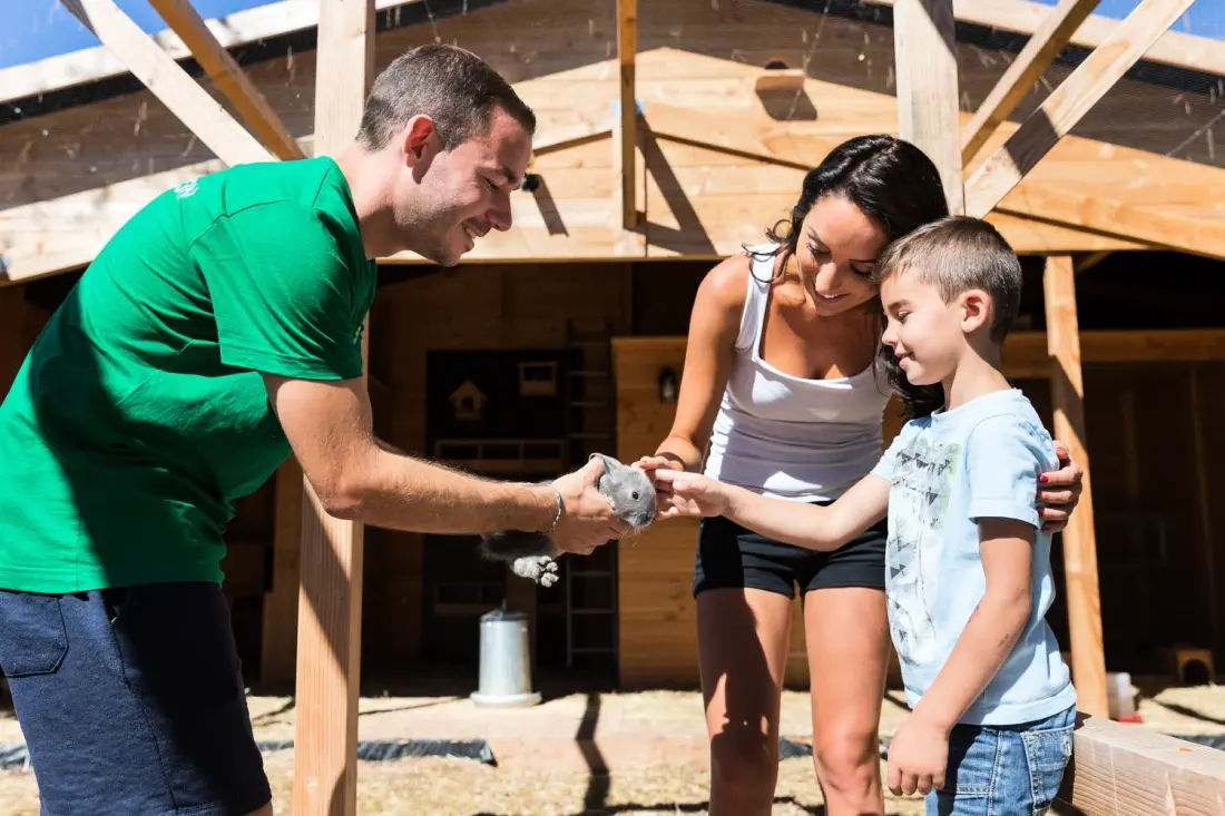 Camping  Holiday Green 5 étoiles★★★★★