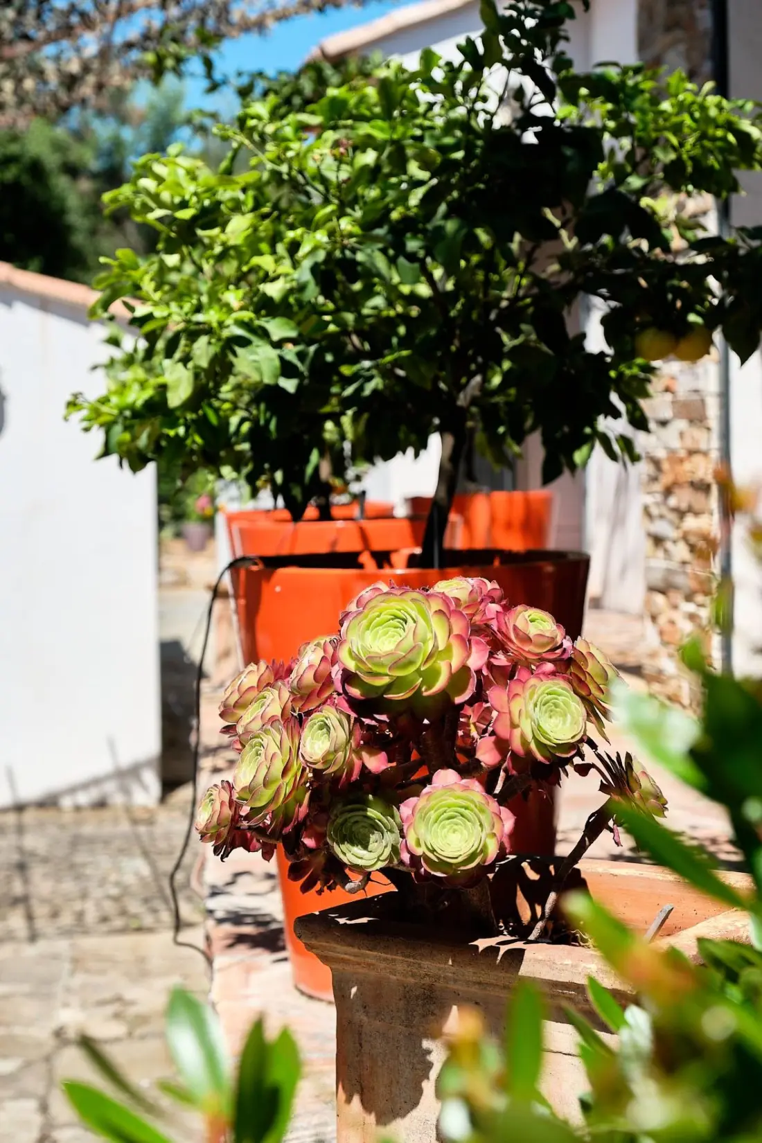 Maison de Vacances Fréjus