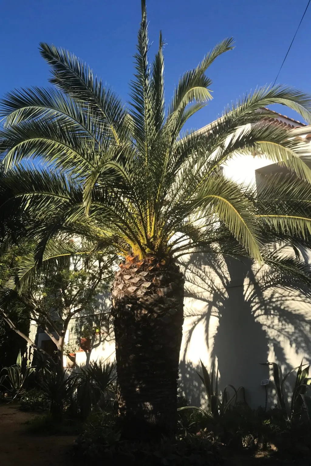 Résidence Erdgeschoss der Villa du Pébrier Côte d'Azur Saint Aygulf