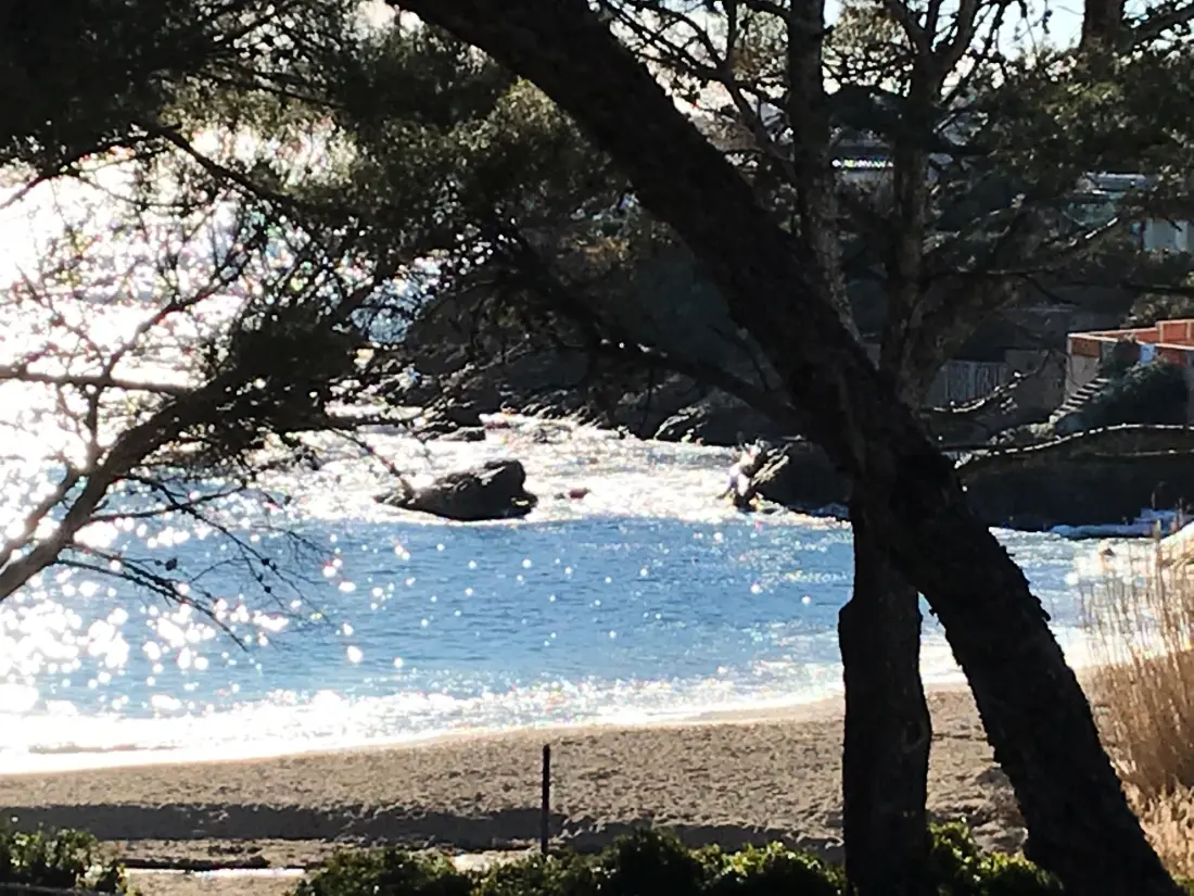 Résidence Erdgeschoss der Villa du Pébrier Côte d'Azur Saint Aygulf