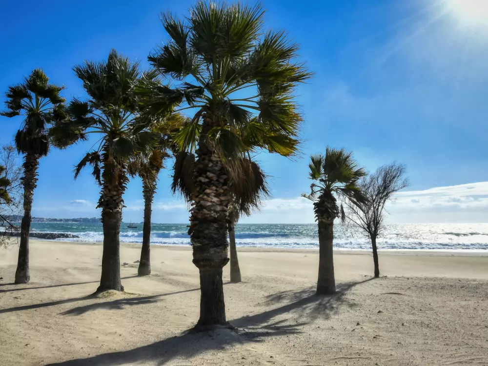 Résidence Le Domino