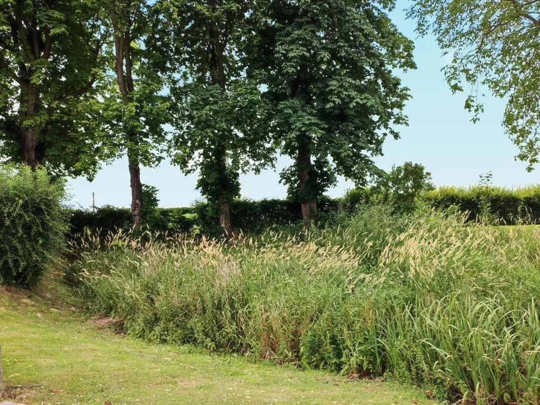 Gîte de France Gîtes de france® - ferme des marronniers 3 épis