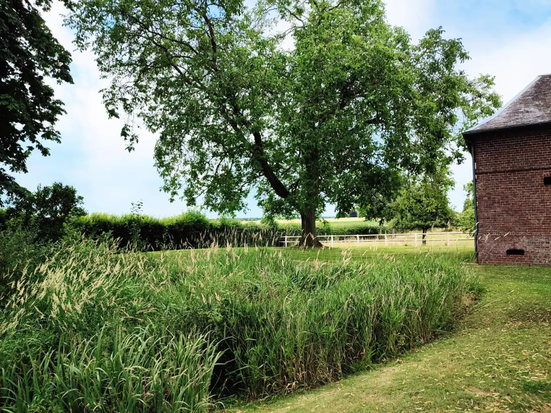 Gîte de France Gîtes de france® - ferme des marronniers 3 épis