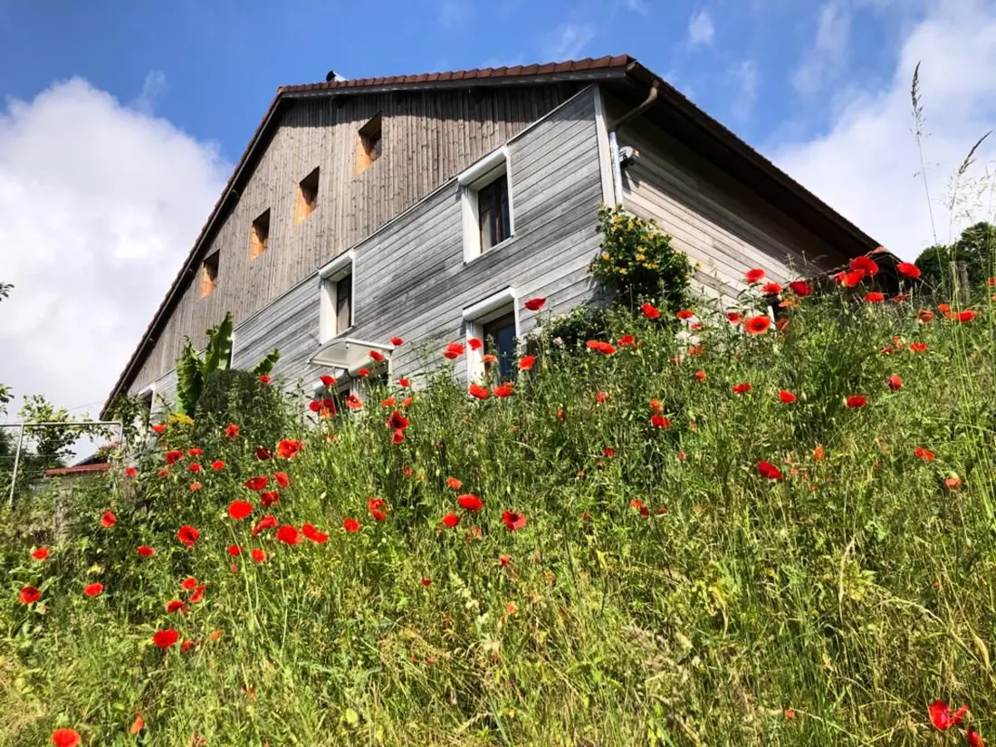 Maison de Vacances Fresse-sur-Moselle 10