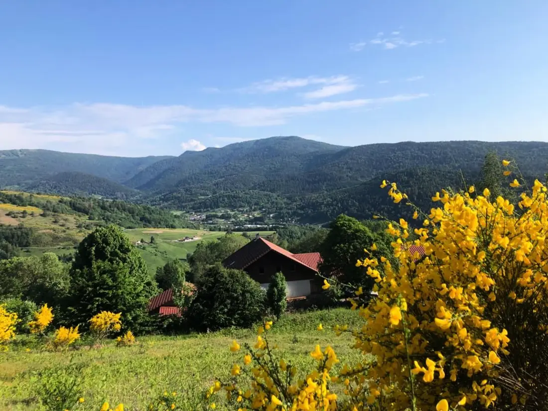 Maison de Vacances Fresse-sur-Moselle 10