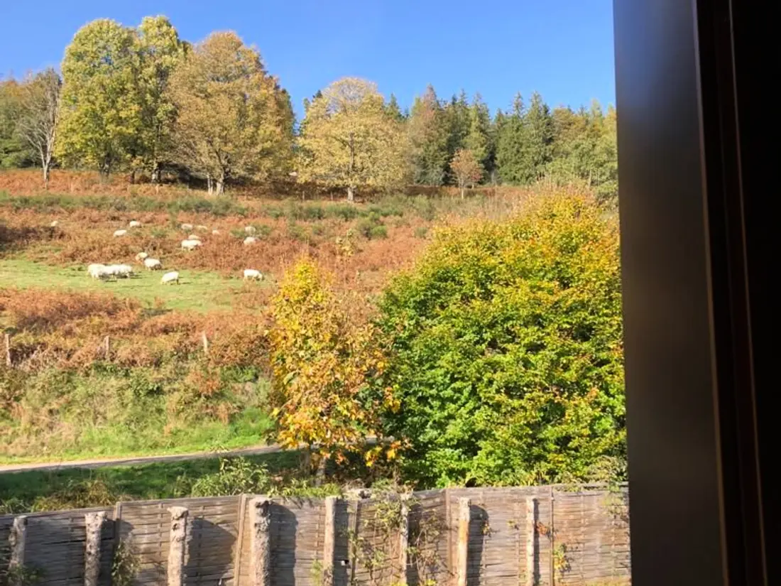 Maison de Vacances Fresse-sur-Moselle 10
