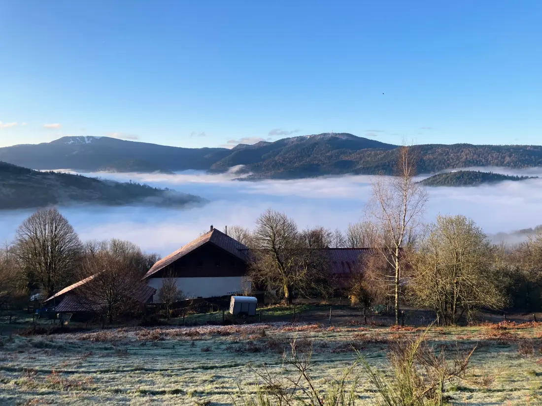 Maison de Vacances Fresse-sur-Moselle 10