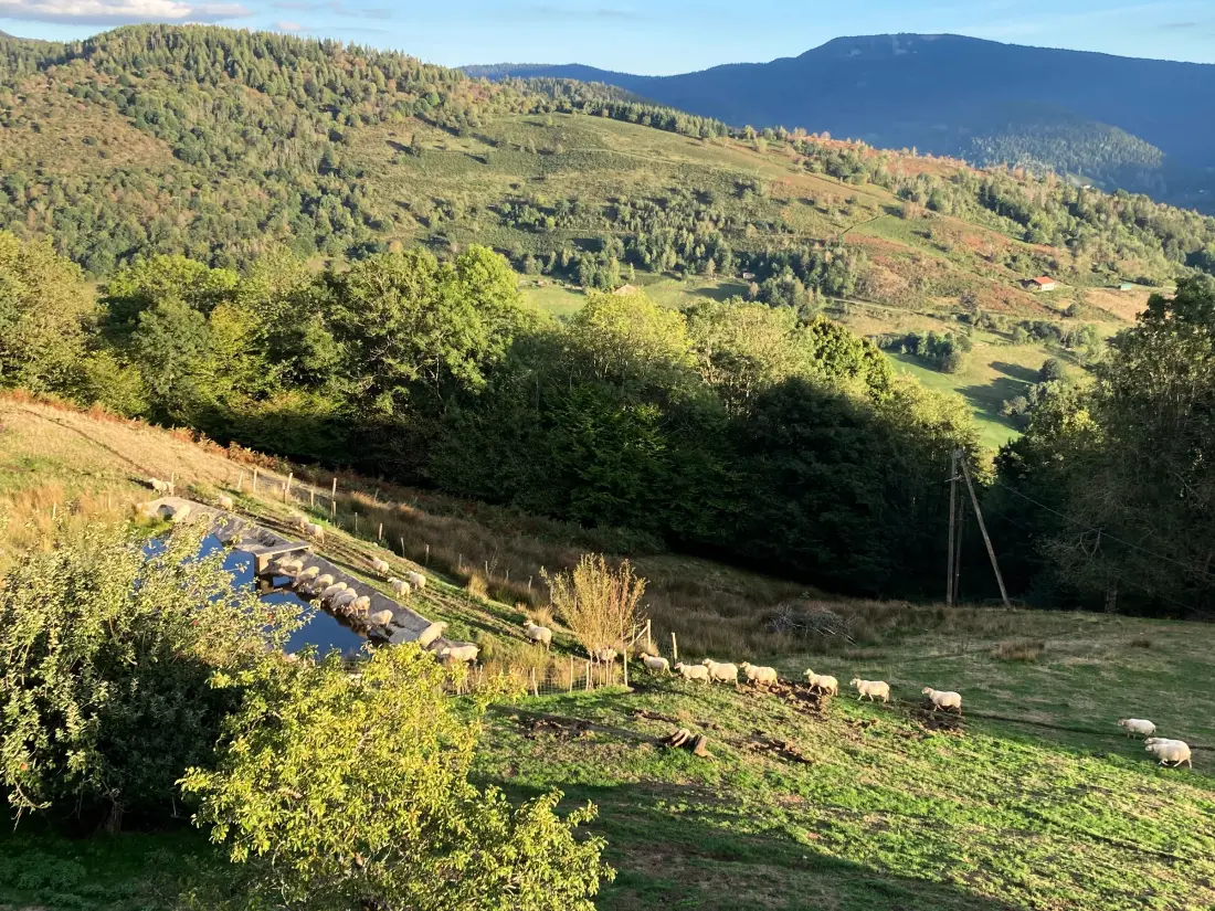 Maison de Vacances Fresse-sur-Moselle 10