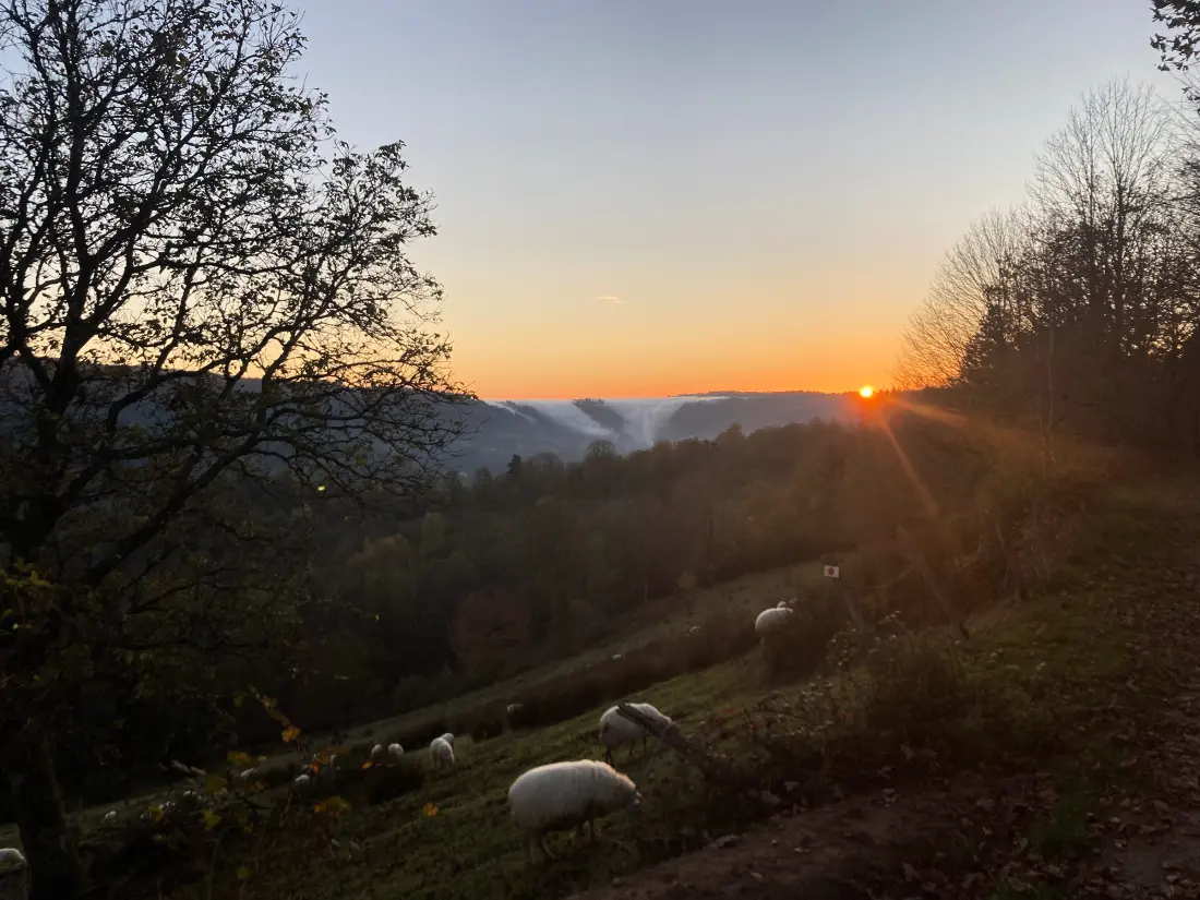 Maison de Vacances Fresse-sur-Moselle 10