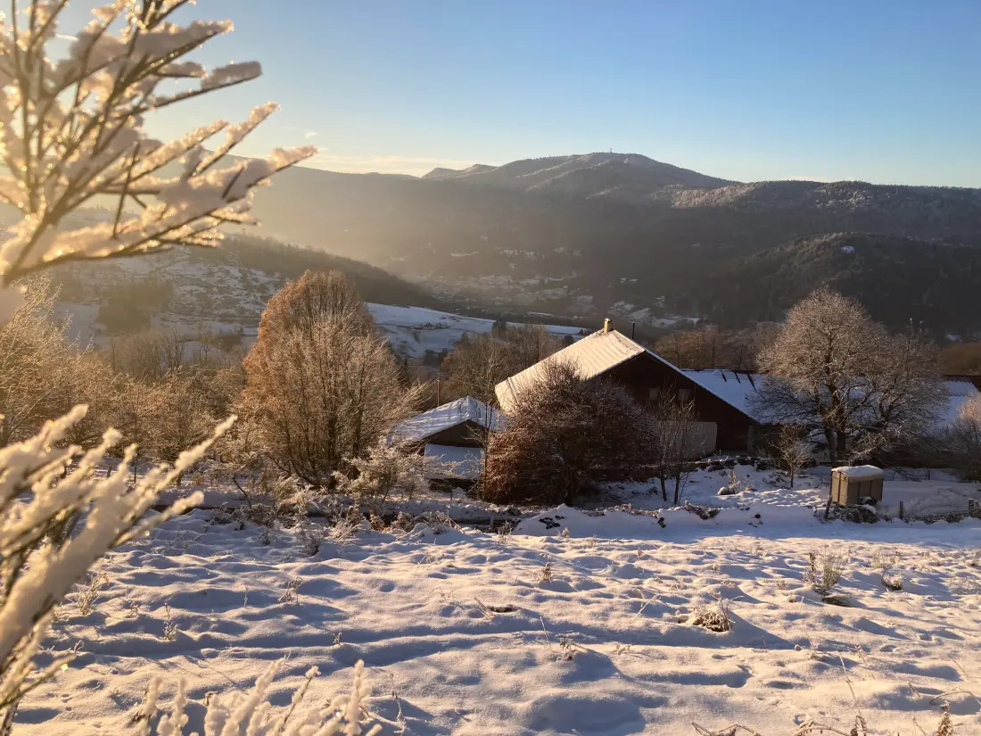 Maison de Vacances Fresse-sur-Moselle 10
