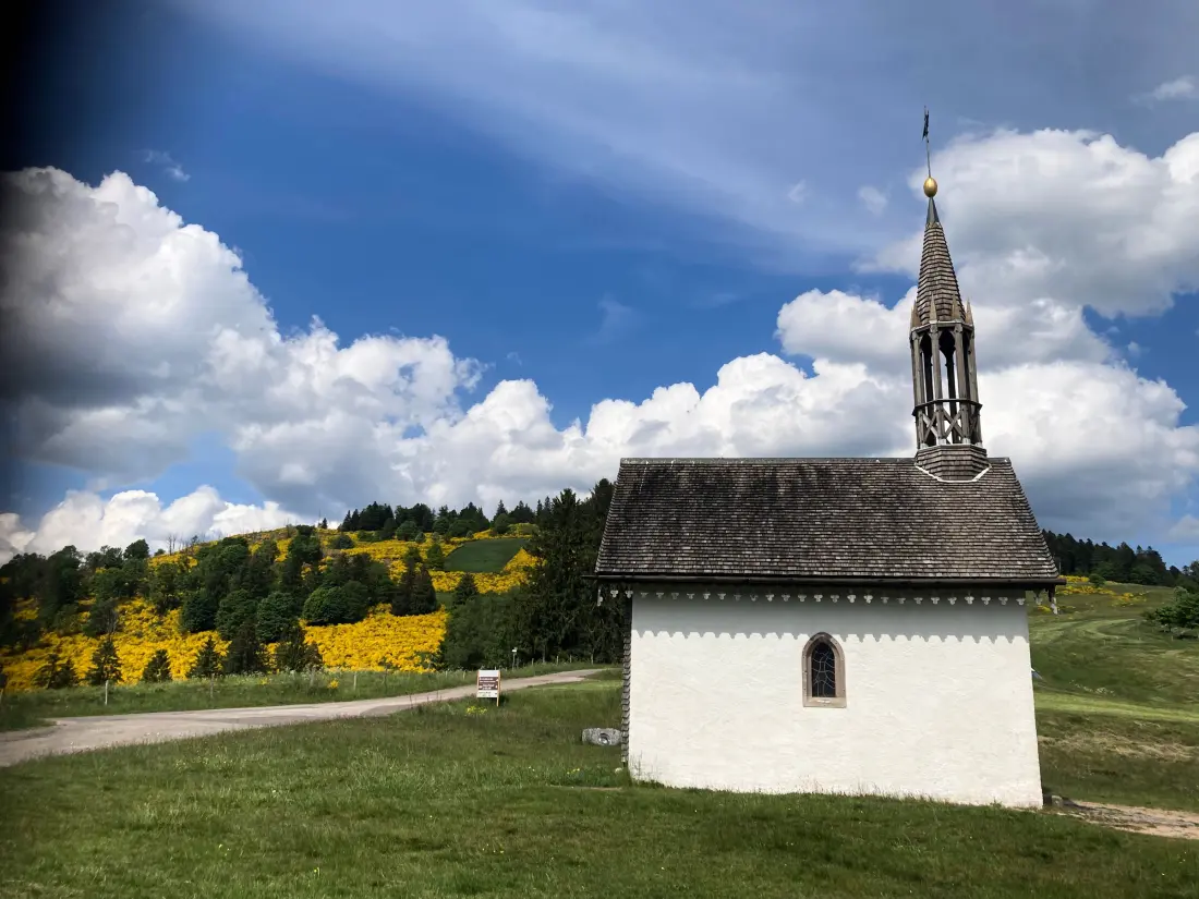 Maison de Vacances Fresse-sur-Moselle 10