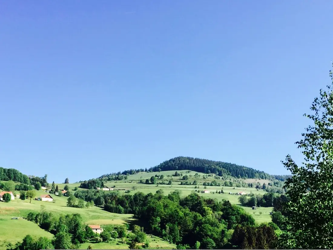 Maison de Vacances Fresse-sur-Moselle 8