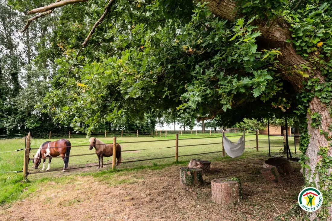 Gîte de France Gîtes de france® - allure sous les pommiers 4 épis