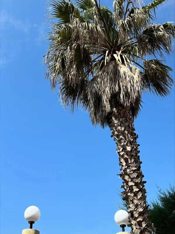 La Coquette En Bord De Plage
