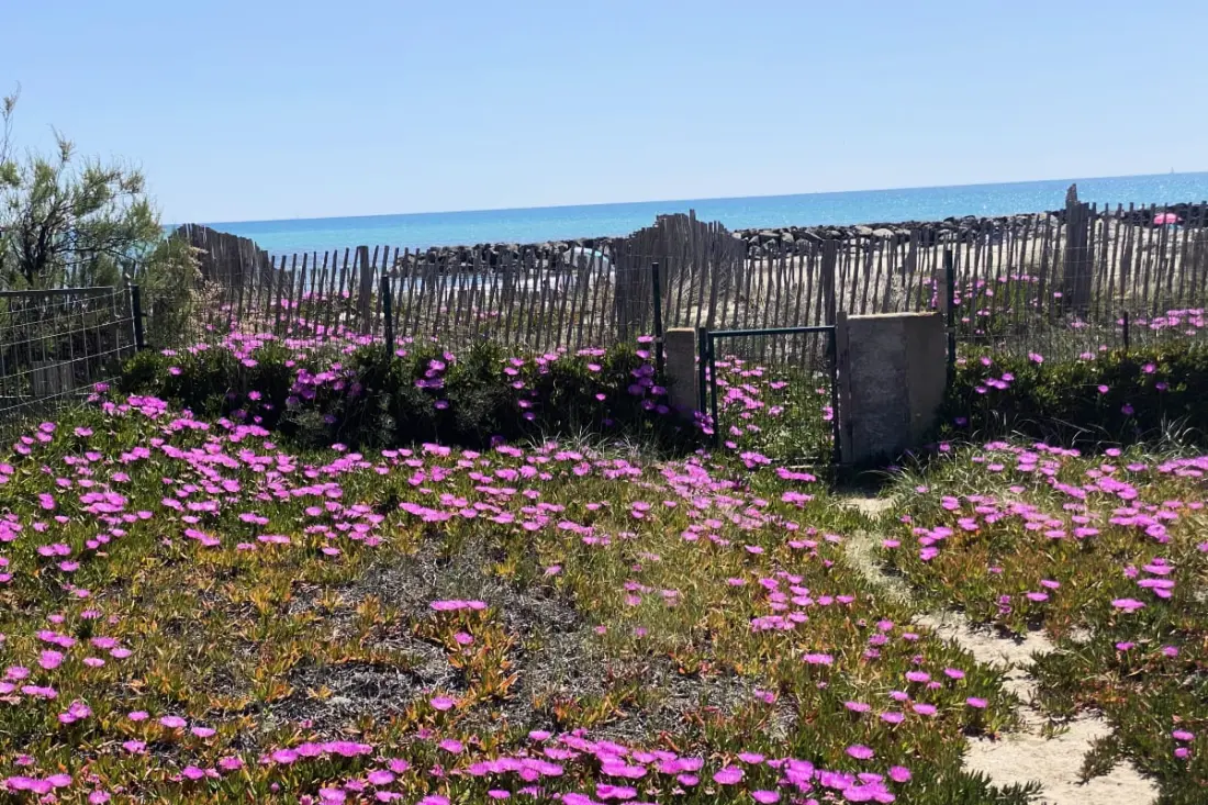 Villa Dune Et Azur