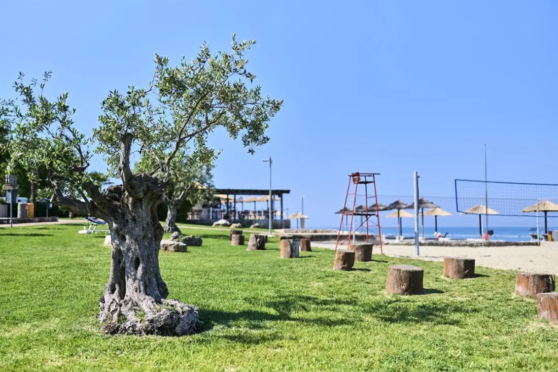 Camping Zelena Laguna4 étoiles★★★★