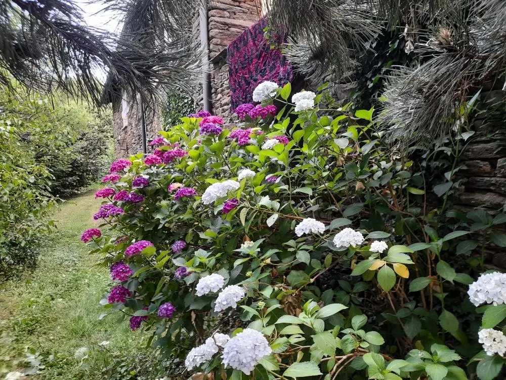 Gîte de France Gîte bouscasse 3 épis