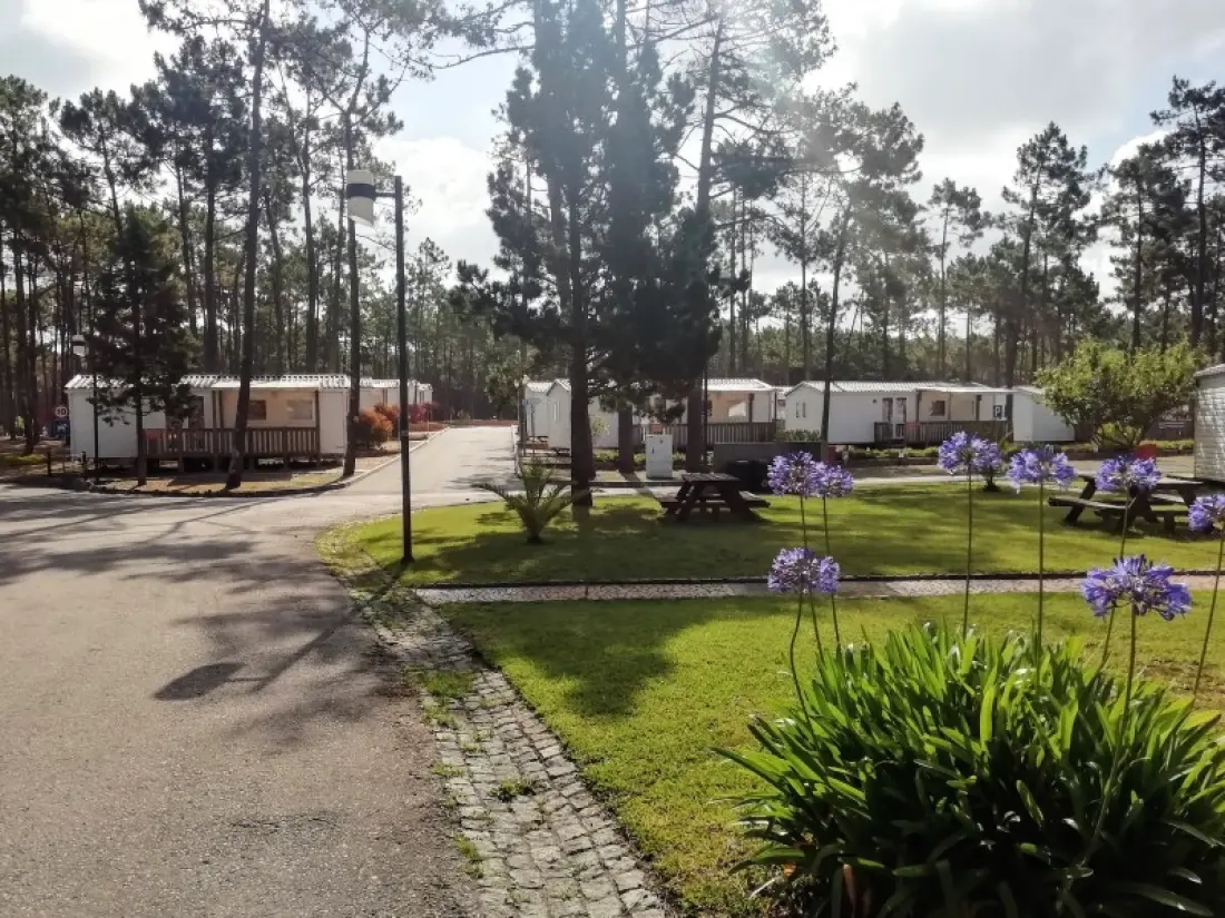Camping Orbitur Vagueira3 étoiles★★★