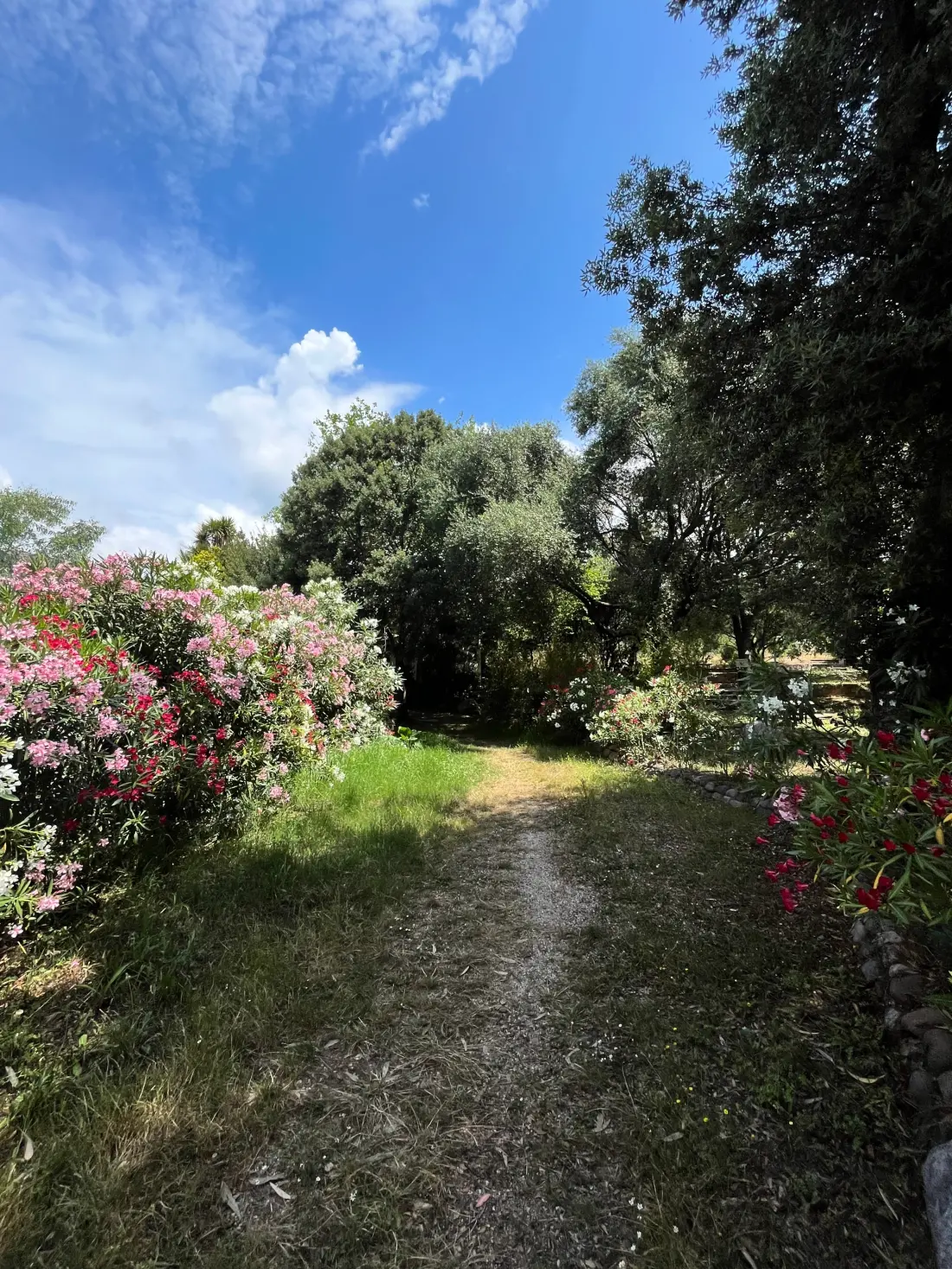 Camping Casa Di Luna 2 étoiles★★