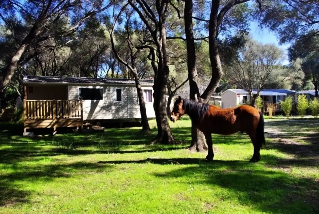 Camping Casa Di Luna 2 étoiles★★
