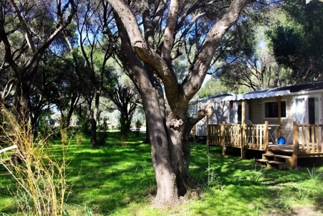 Camping Casa Di Luna 2 étoiles★★