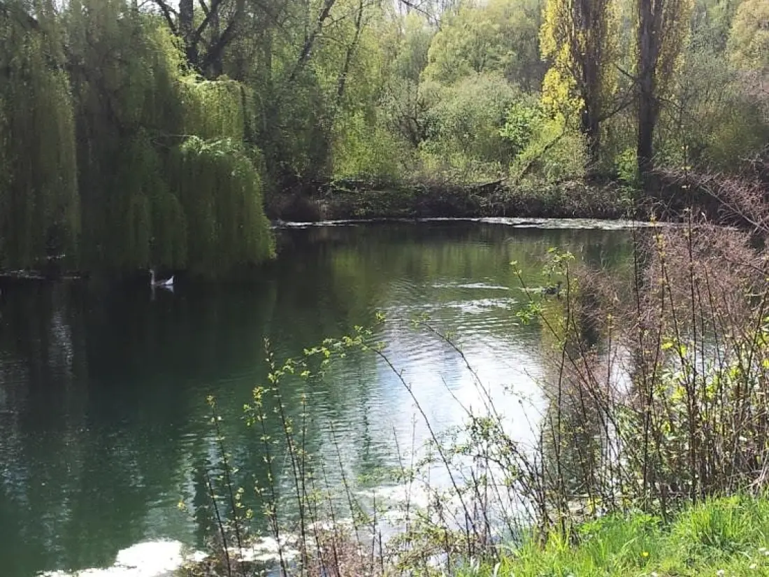 Camping Seasonova Les Marguerites 3 étoiles★★★