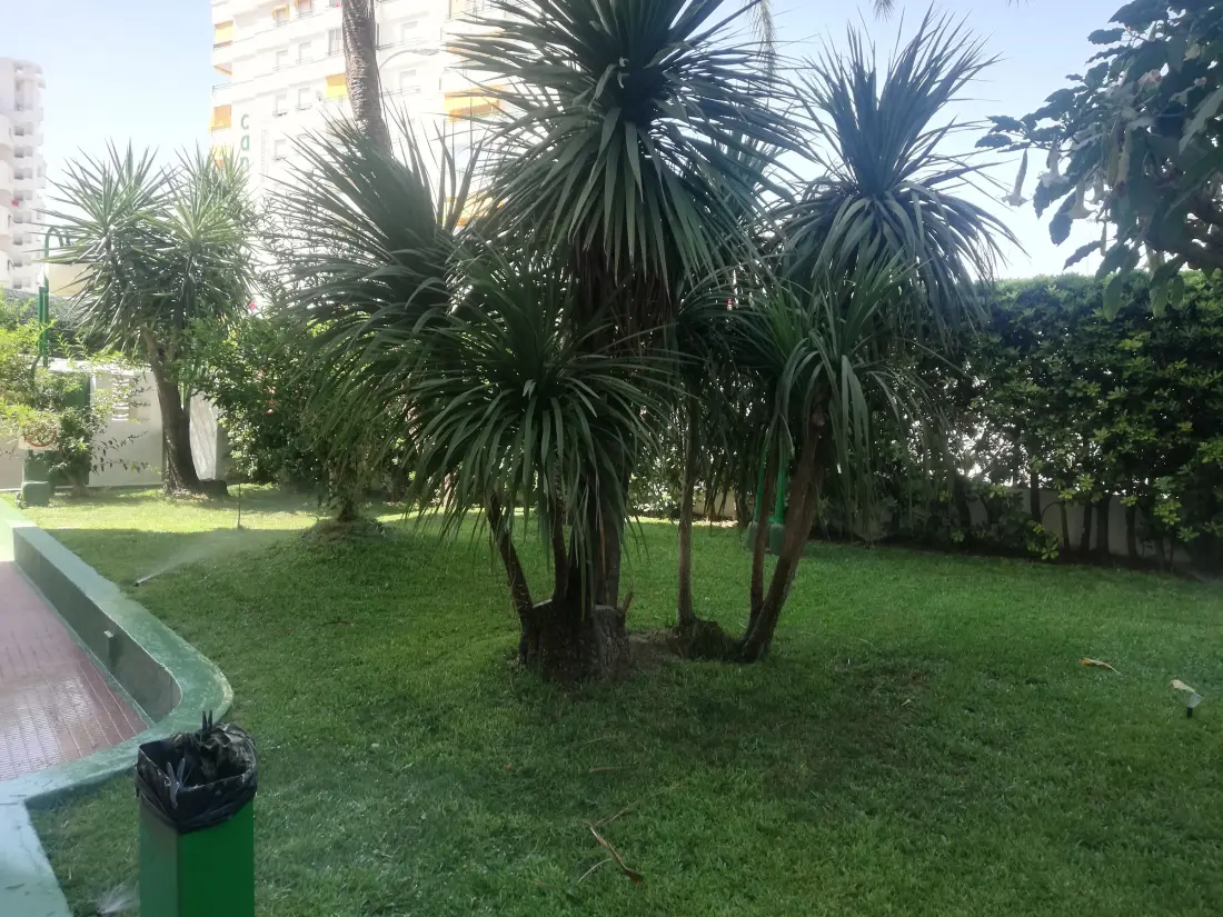 Location de Vacances Gandía 26