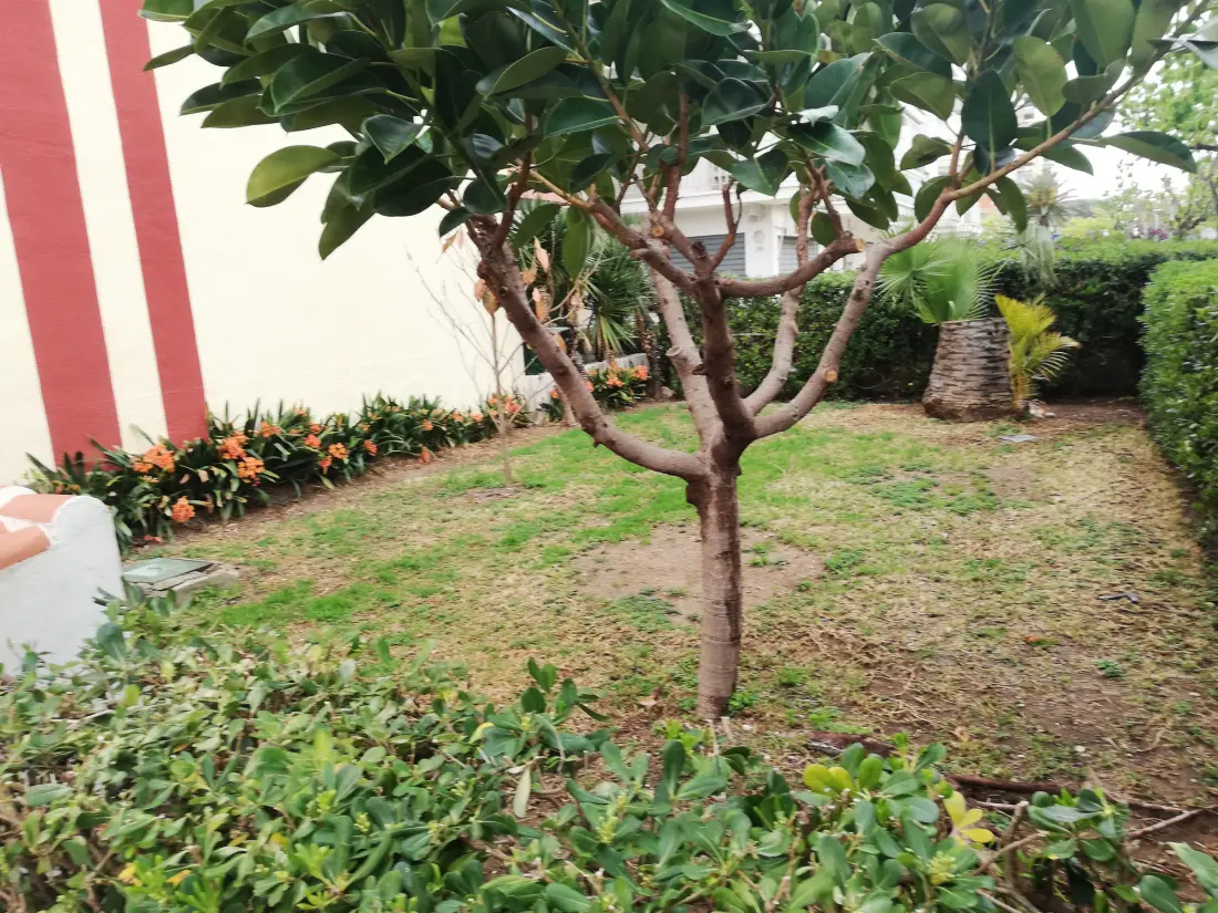 Location de Vacances Gandía 31