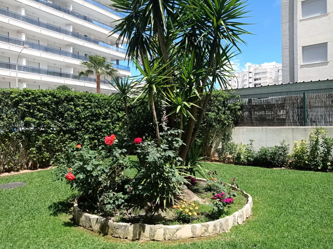 Location de Vacances Gandía 40