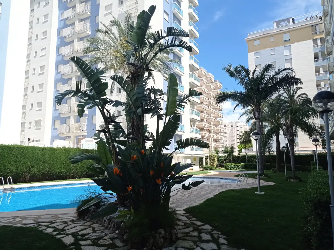 Location de Vacances Gandía 40