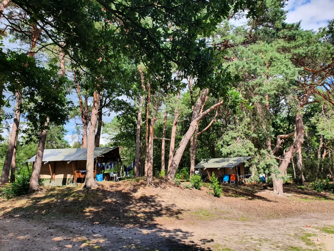Camping het Horstmannsbos