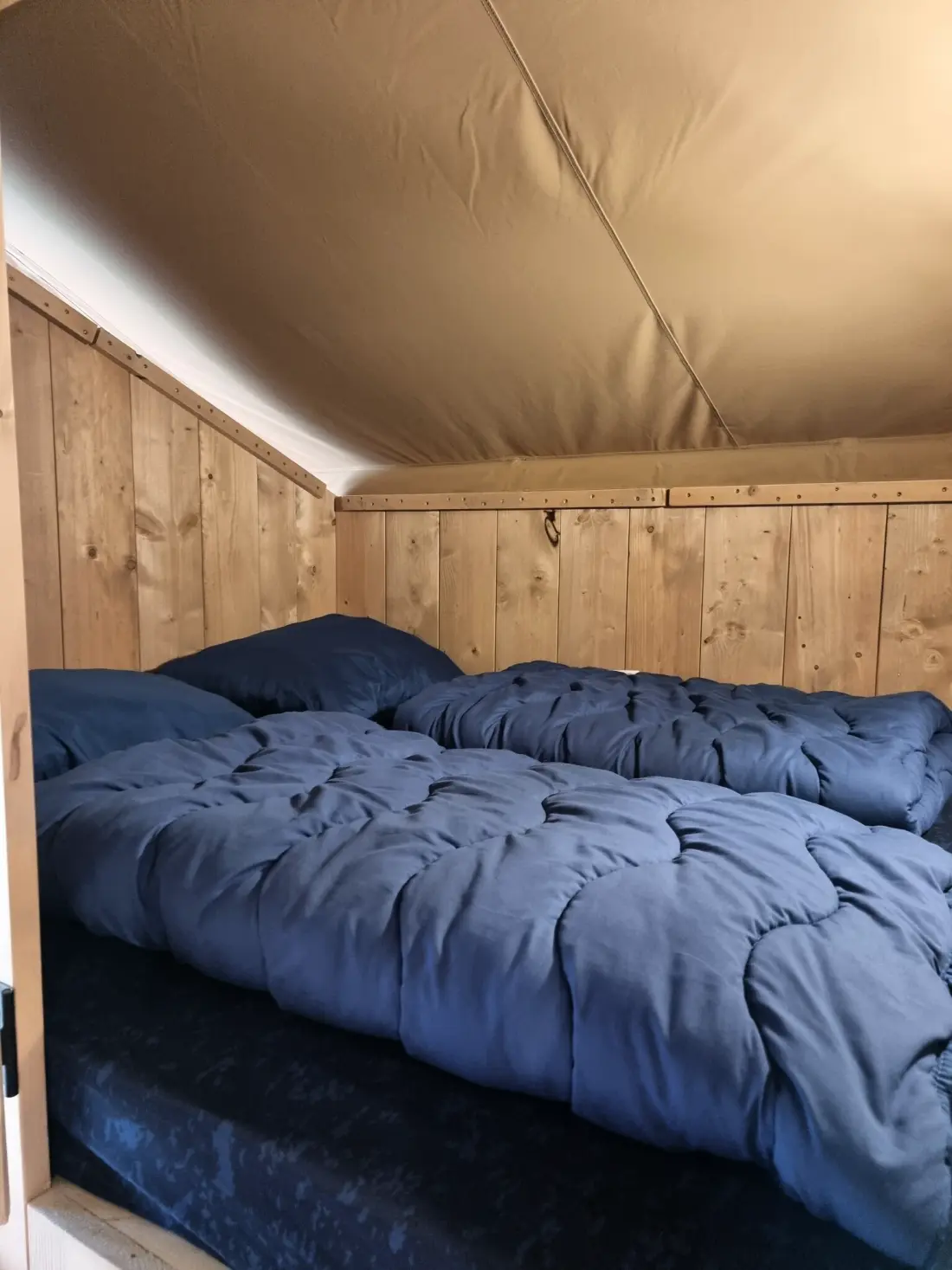 Camping het Horstmannsbos