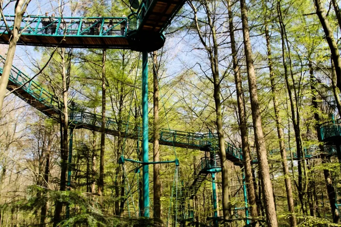 Camping het Horstmannsbos