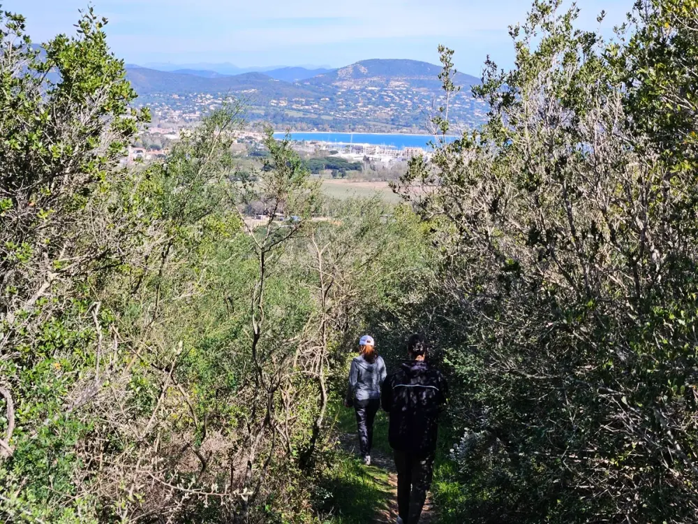 Camping Montana Parc - Gassin Golfe de St Tropez 4 étoiles★★★★
