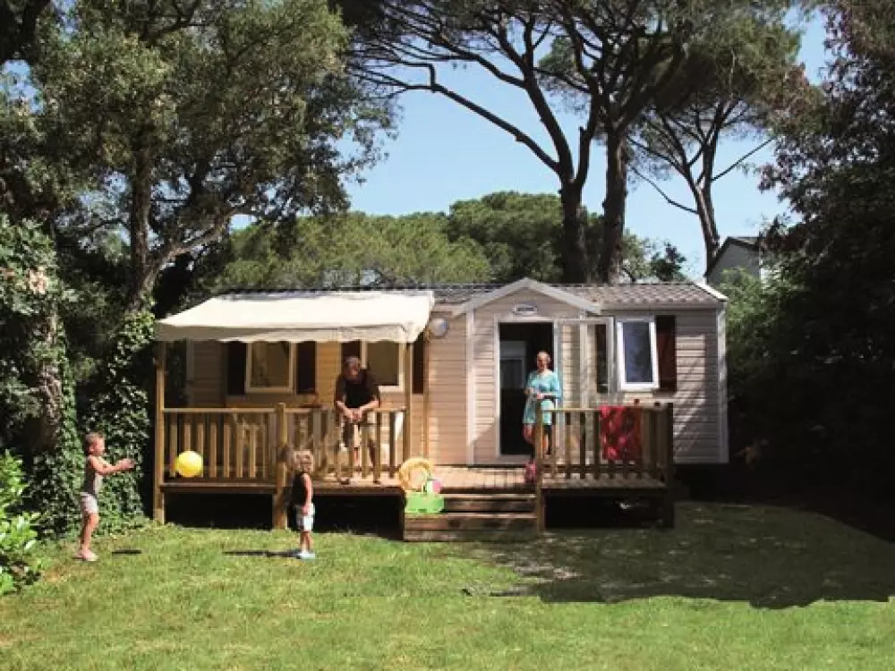 Camping Montana Parc - Gassin Golfe de St Tropez 4 étoiles★★★★