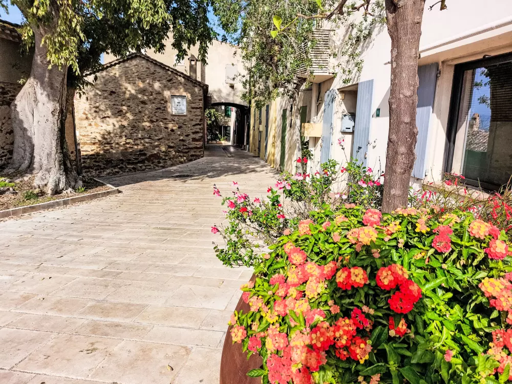 Maison de Vacances Gassin