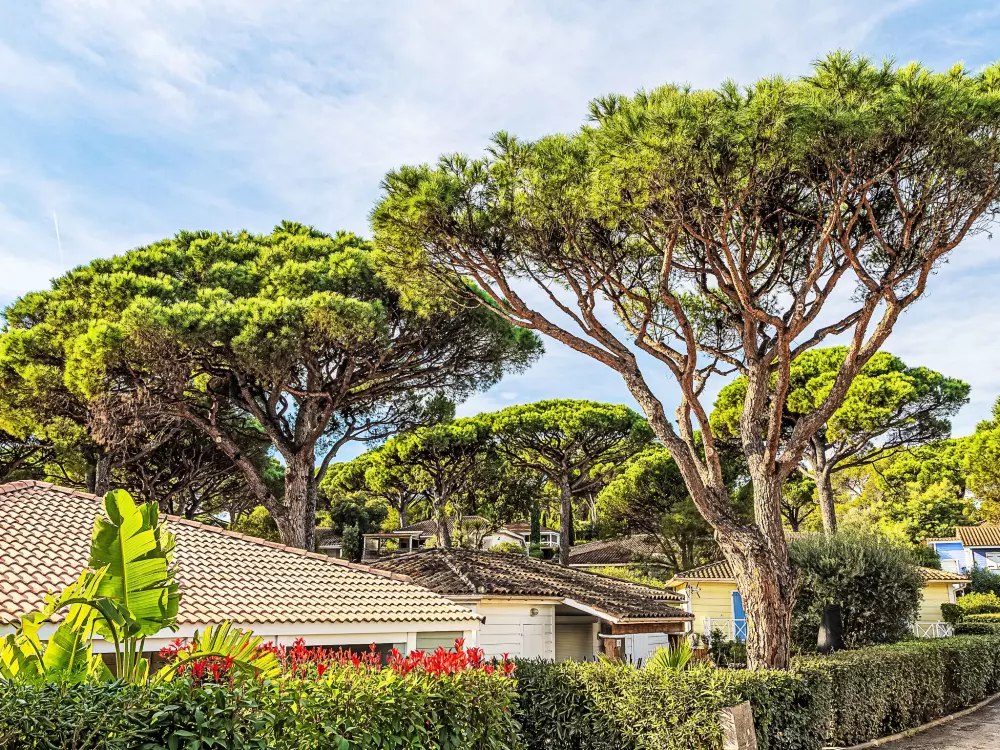 Maison de Vacances Gassin