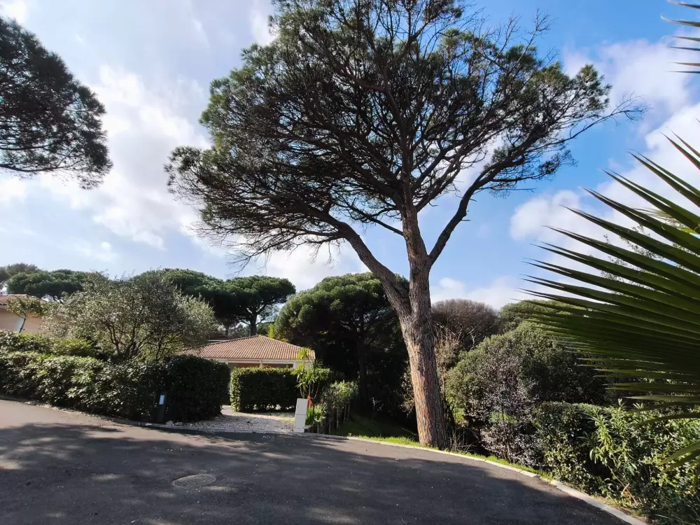 Résidence Parc Oasis