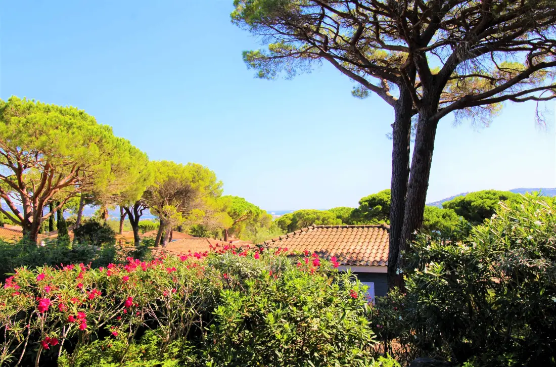 Résidence Parc Oasis