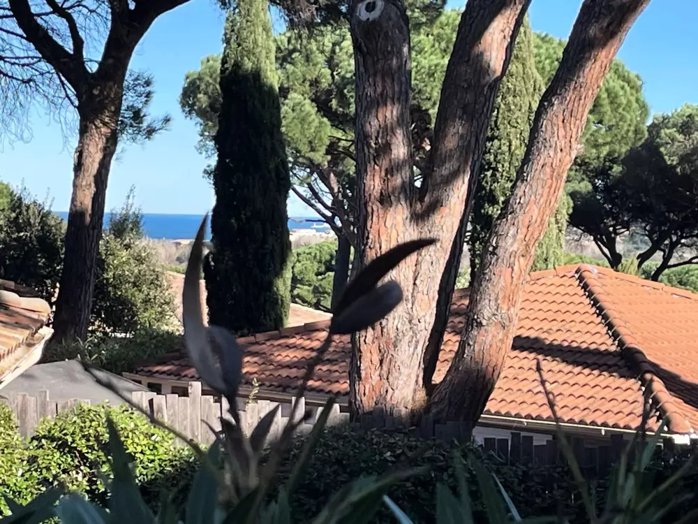 Résidence Parc Oasis