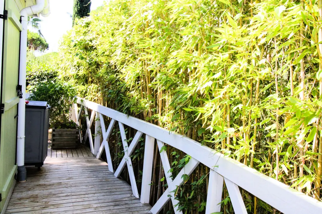 Résidence Parc Oasis