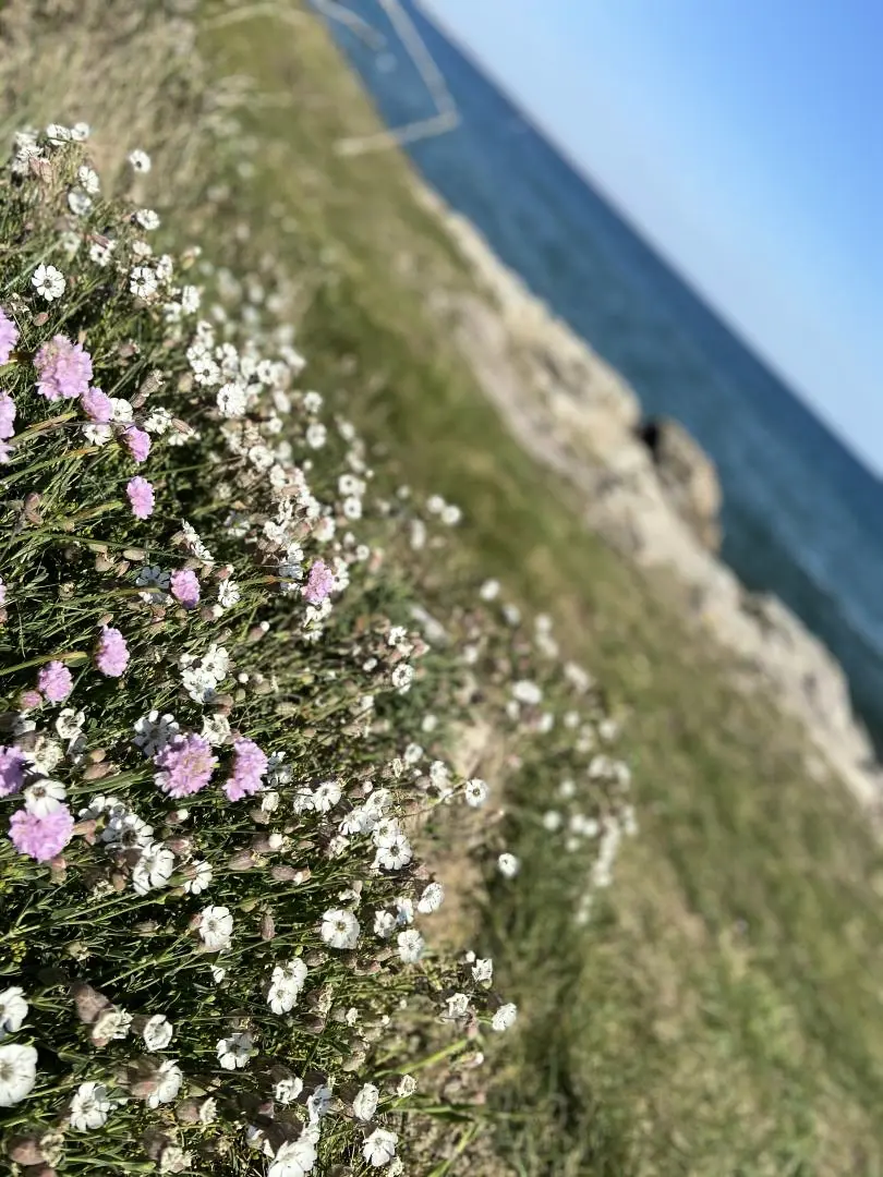 Gîte de France L'effet mer 3 épis