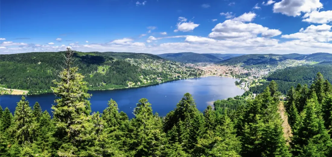 Chalet Avec Jardin Et Terrasse à Gérardmer
